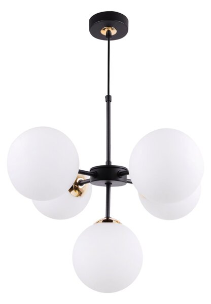 Light for home - Černozlatá Regulovatelná Stropní Lampa se 5 Bílými Foukanými Stínidly"IMPERIA", 5x40W, E14, Černá