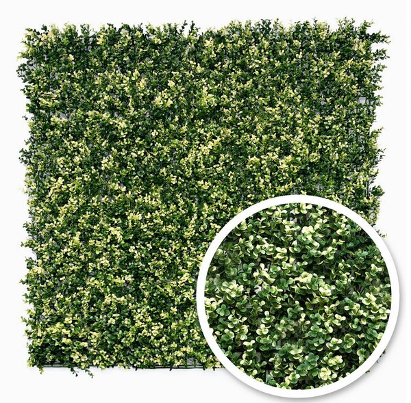 Umělý živý plot BUXUS PANAŠOVANÝ PREMIUM, 100x100cm, plocha 1m2