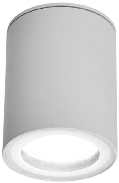 Rabalux Koven stropní světlo 1x35 W bílá 71343