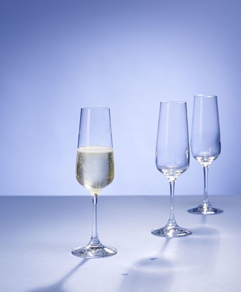 Villeroy & Boch 11-7209-8130 Sklenice na šampaňské Ovid 250 ml 4 ks