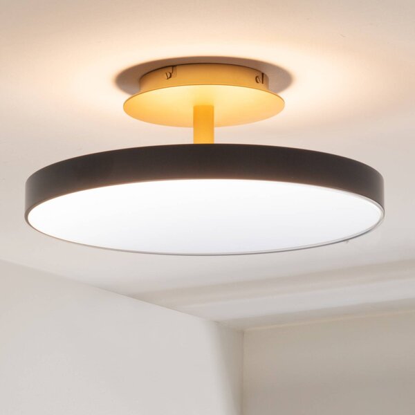 UMAGE LED stropní svítidlo Asteria UP PLUS, antracit Ø 43 cm, stmívatelný, Černá, Obývací pokoj / jídelna, kov, Design