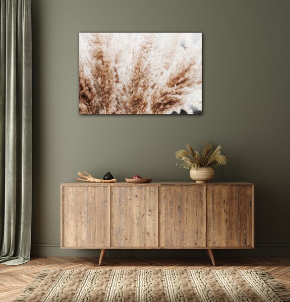 Impresi Obraz Suchá tráva skandinávský styl - 60 x 40 cm