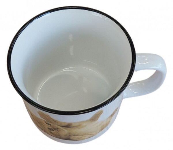 Hrnek Kotě 450 ml 2000640