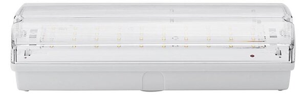 LED Nouzové svítidlo LED/3W/240V 6000K IP65