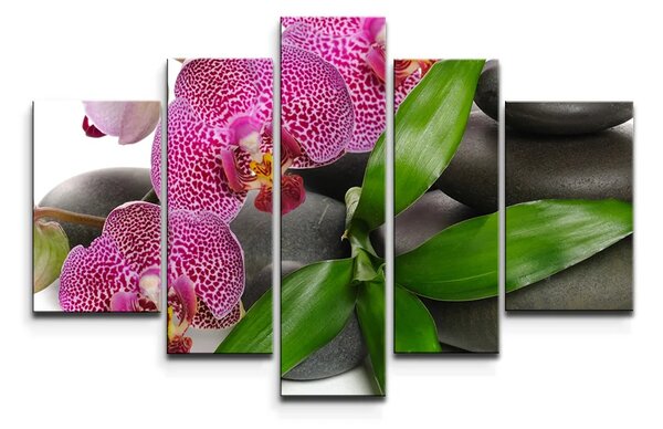 Sablio Obraz - 5-dílný Orchideje a kameny - 125x90 cm