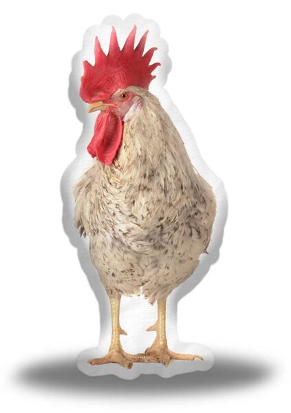 Sablio 3D polštář ve tvaru Kohout