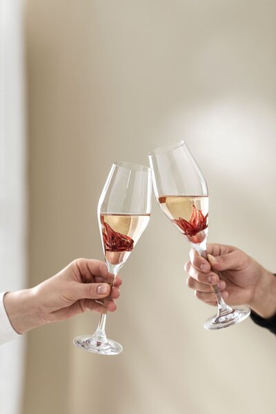 Villeroy & Boch 11-3667-8131 Sklenice na šampaňské La Divina 260 ml 4 ks