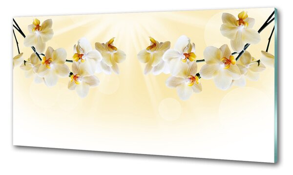 Skleněný panel do kuchynské linky Orchidej pl-pksh-100x50-f-72852358