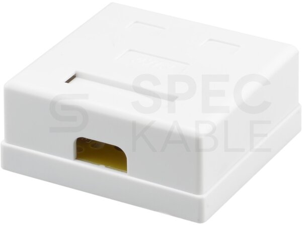 Zásuvka NEKU CAT6 UTP 2 x RJ45 na omítku bílá
