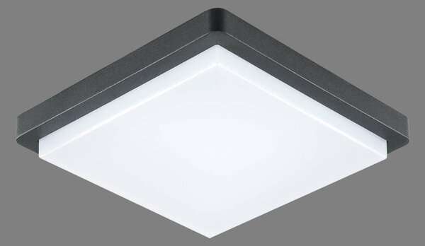 EVN Tectum LED stropní světlo hranaté, 150 stupňů