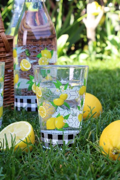 Sklenice TORO 300ml citron