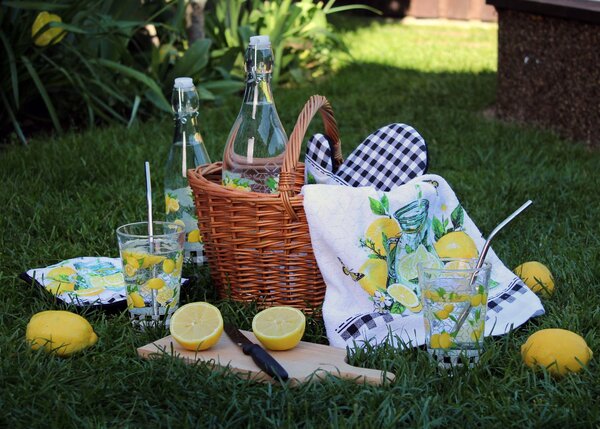 Sklenice TORO 300ml citron