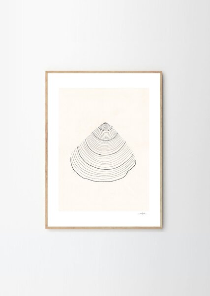 The Poster Club Plakát Shell by Ana Frois 30x40