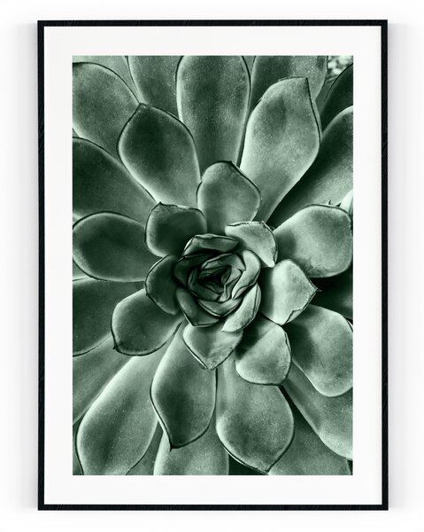 Plakát / Obraz Kaktusový květ S okrajem Pololesklý saténový papír A4 - 21 x 29,7 cm