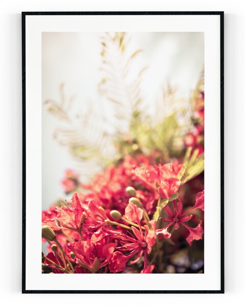 Plakát / Obraz Bloom Bez okraje Pololesklý saténový papír A4 - 21 x 29,7 cm