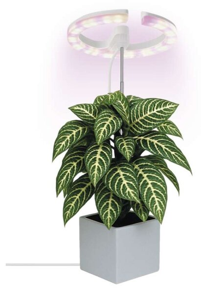 EMOS LED GROW pěstební lampa 8W, časovač, stmívatelná, bílá