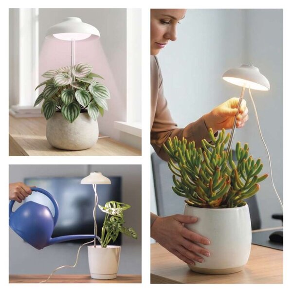 EMOS LED GROW pěstební lampa 5W, časovač, bílá