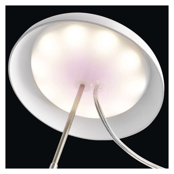 EMOS LED GROW pěstební lampa 5W, časovač, bílá