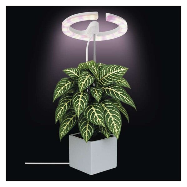EMOS LED GROW pěstební lampa 8W, časovač, stmívatelná, bílá