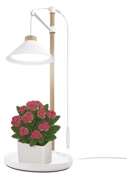 EMOS LED GROW pěstební lampa 7 W, časovač, bílá 1538900050