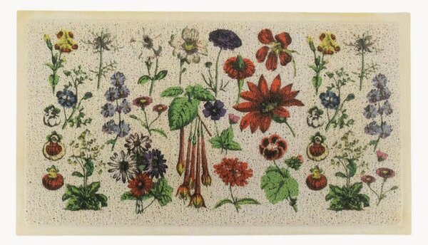 Pratelná rohožka Botanicals