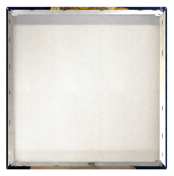 Obraz 60x60 cm Cobalt Women – Styler