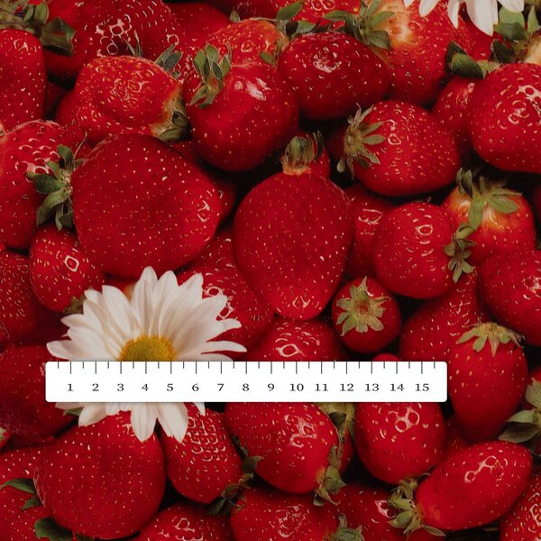 PVC ubrus Jahody PV-137 - metráž š. 140 cm