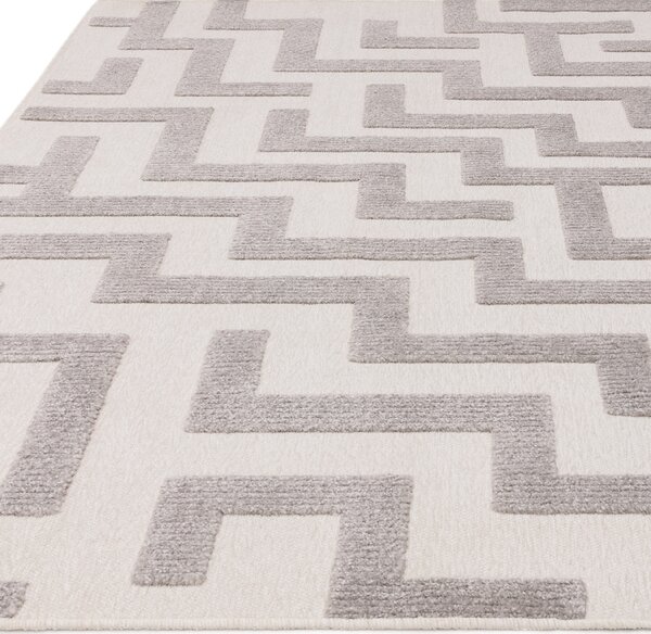 Tribeca Design Kusový koberec Stooges Cove Grey Rozměry: 160x230 cm