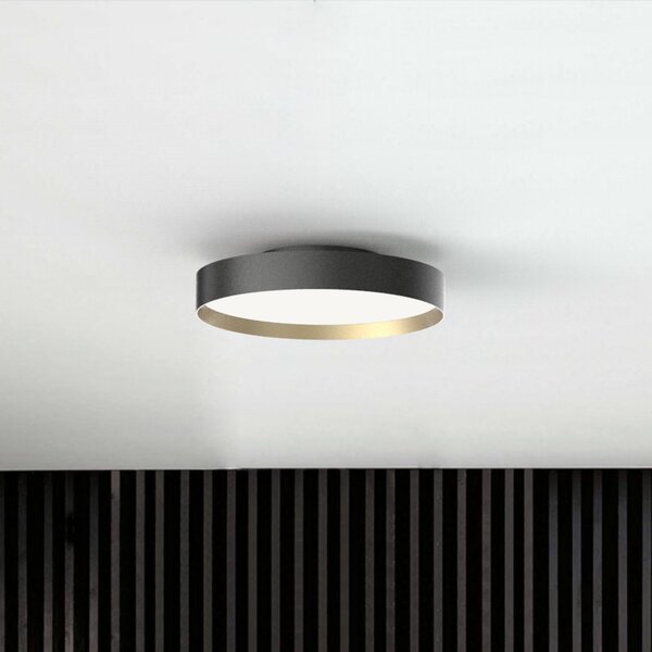 Stropní Lampa LOOM DESIGN, Lucia, stmívatelné, Černá, Obývací pokoj, Kov, Moderní