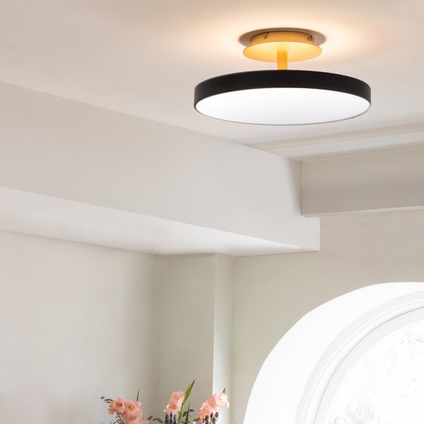 Stropní Lampa UMAGE, Asteria UP PLUS, stmívatelné, Černá, Obývací pokoj, Kov, Design