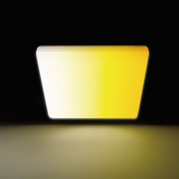 Aigostar - LED Koupelnové stropní svítidlo LED/18W/230V 3000K-6500K IP54 + DO