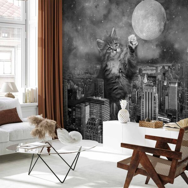 Fototapeta Zvíře v New Yorku - kočka na pozadí měsíce a města v šedých odstínech