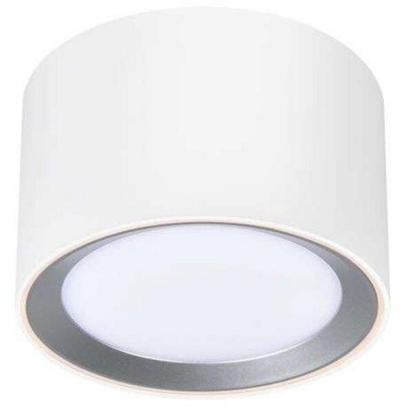 Stropní Lampa Nordlux, Landon Smart, stmívatelné, Bílá, Obývací pokoj, Kov