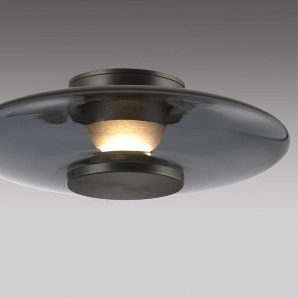 Paul Neuhaus Stropní/nástěnné LED svítidlo PURE Vitrum, 13W, ø 22 cm, 2700 stmívatelné Barva: Hnědá