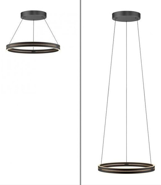 Paul Neuhaus Závěsné LED svítidlo PURE E-Loop dub/černá, 53W, ø 70,1 cm, 2700-5000K