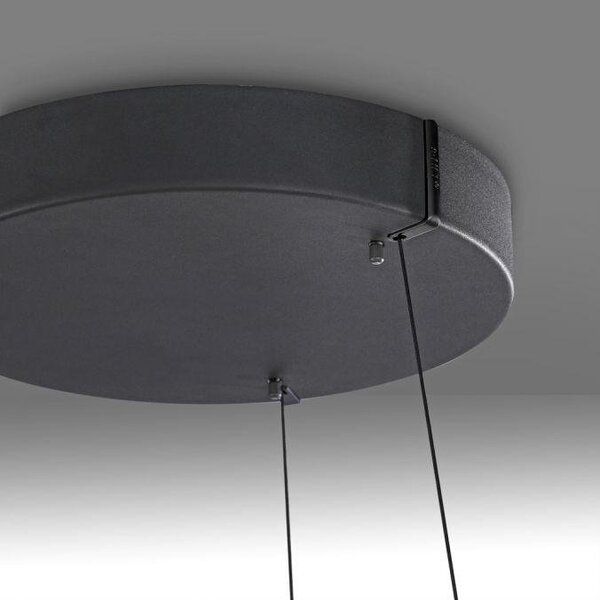 Paul Neuhaus Závěsné LED svítidlo PURE E-Loop dub/černá, 53W, ø 70,1 cm, 2700-5000K