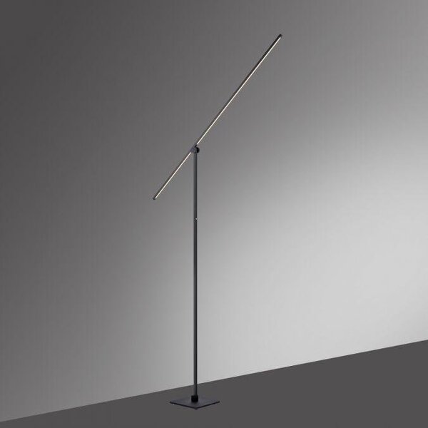 Paul Neuhaus Stojací LED lampa PURE GRAFO, 16W, v. 219 cm, 3000K stmívatelná