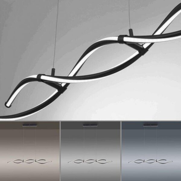 Paul Neuhaus Závěsné LED svítidlo, 42W, v. 120 cm, RF control, CCT 2700-5000K