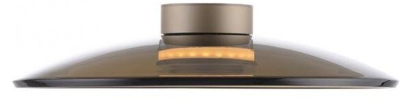 Paul Neuhaus Stropní LED svítidlo PURE MOON, 31W, ø 50 cm, 2700 stmívatelné