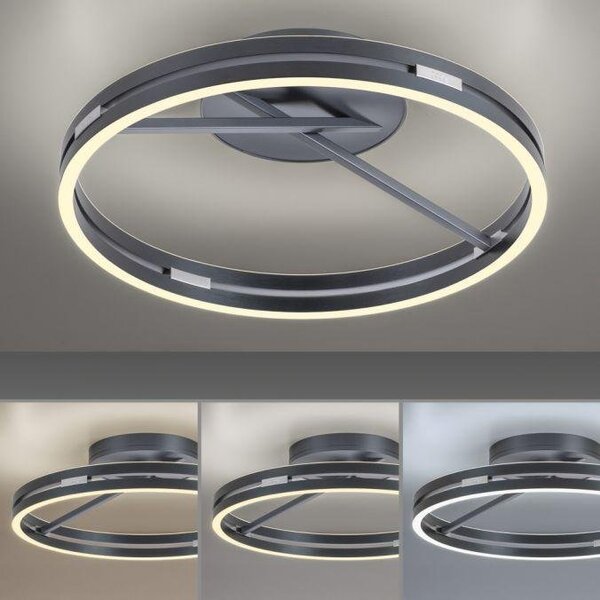 Paul Neuhaus Stropní LED svítidlo PURE Loop, pr.60cm, 7W+30W 2700-5000K, šedá mystic
