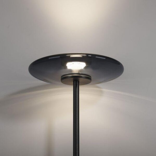 Paul Neuhaus Stojací LED lampa PURE Vitrum, 18W, v. 180 cm, 2700K Barva: Zlatá