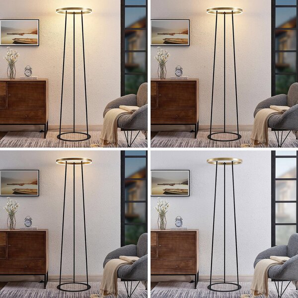 Stojací Lampa Lucande, Seppe, stmívatelné, Černá, Obývací pokoj, Kov, Design