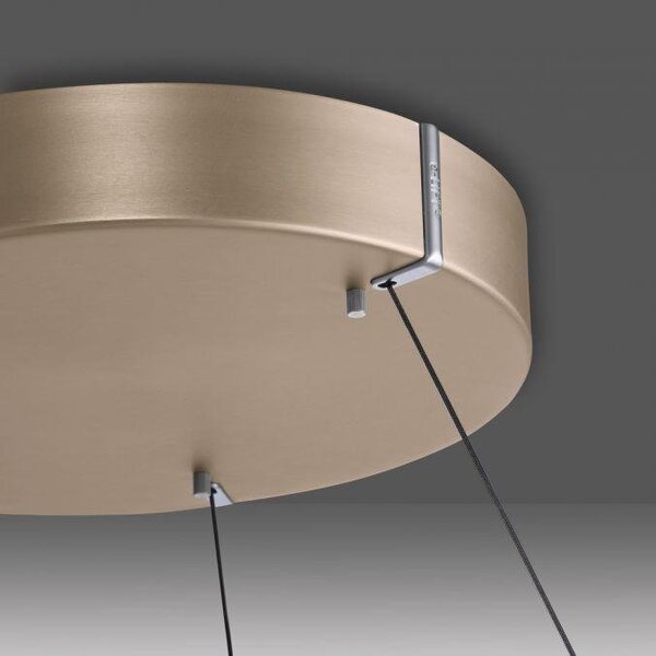 Paul Neuhaus Závěsné LED svítidlo PURE E-Loop, 50W, ø 50 cm, 2700-5000K Barva: Mystická šedá