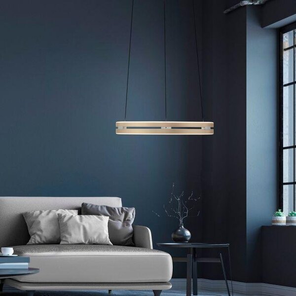 Paul Neuhaus Závěsné LED svítidlo PURE E-Loop, 50W, ø 50 cm, 2700-5000K Barva: Mystická šedá