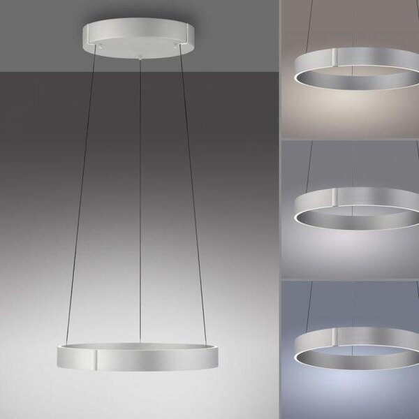 Paul Neuhaus Závěsné LED svítidlo PURE E-Popup, 51W, ø 50 cm, 2700-5000K Barva: Šedá