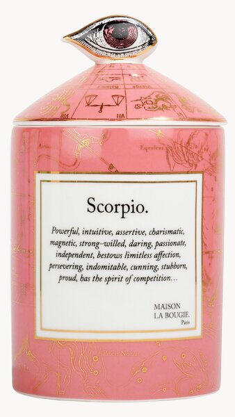 Ručně vyrobená vonná svíčka Scorpio (černý rybíz & bílé pižmo)