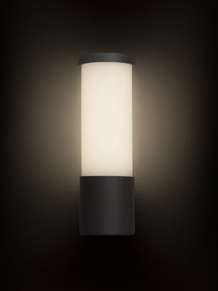 RED R12548 GARRET nástěnná antracitová 230V LED 15W IP65 3000K - RED - DESIGN RENDL