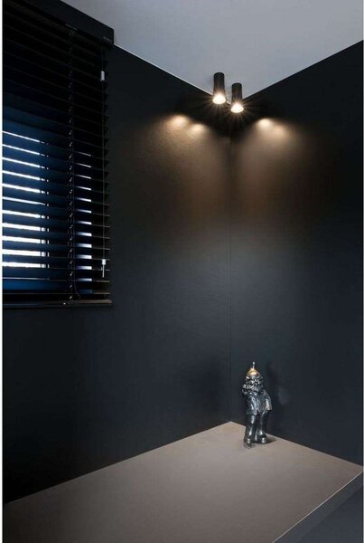 Stropní Lampa Trizo21, Černá, Ložnice, Hliník