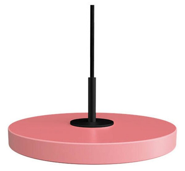 Asteria Závěsné Svítidlo Micro Nuance Rose/Black Top