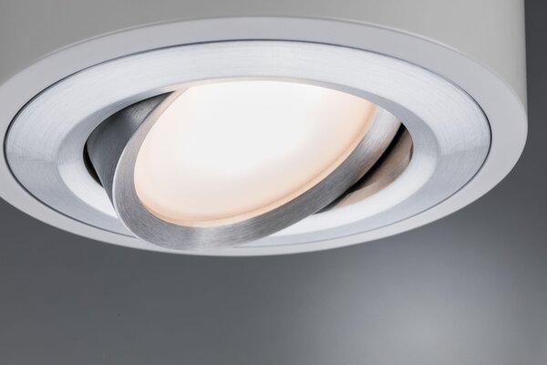 P 79708 LED stropní svítidlo Argun 1-ramenné 4,8W bílá mat/hliník kartáčovaný - PAULMANN